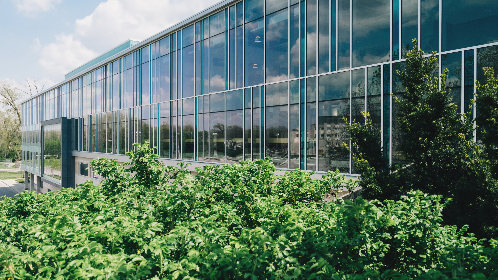 Ein Gebäude mit der Zertifizierung BREEAM