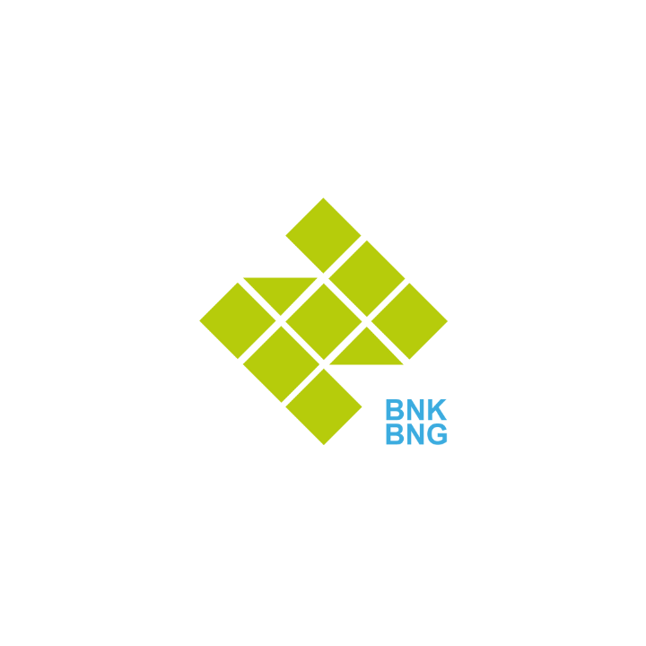 Logo BNK BNG